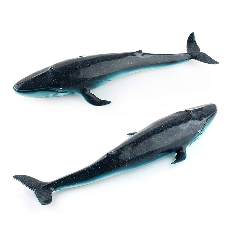 クジラ(置物) Amazon.co.jp: 【ぽれぽれ動物雑貨/クジラS】SEAS 海 手作り
